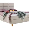Asko Bonnell Dreamflow (jenkkisänky vyöhyke 160x200cm medium/hard beige (sis. 8cm älyvaahto pp + isoruutu pääty))