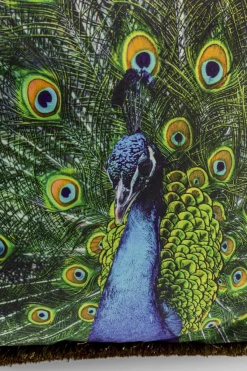 Peacock (koristetyyny 45x45 cm)